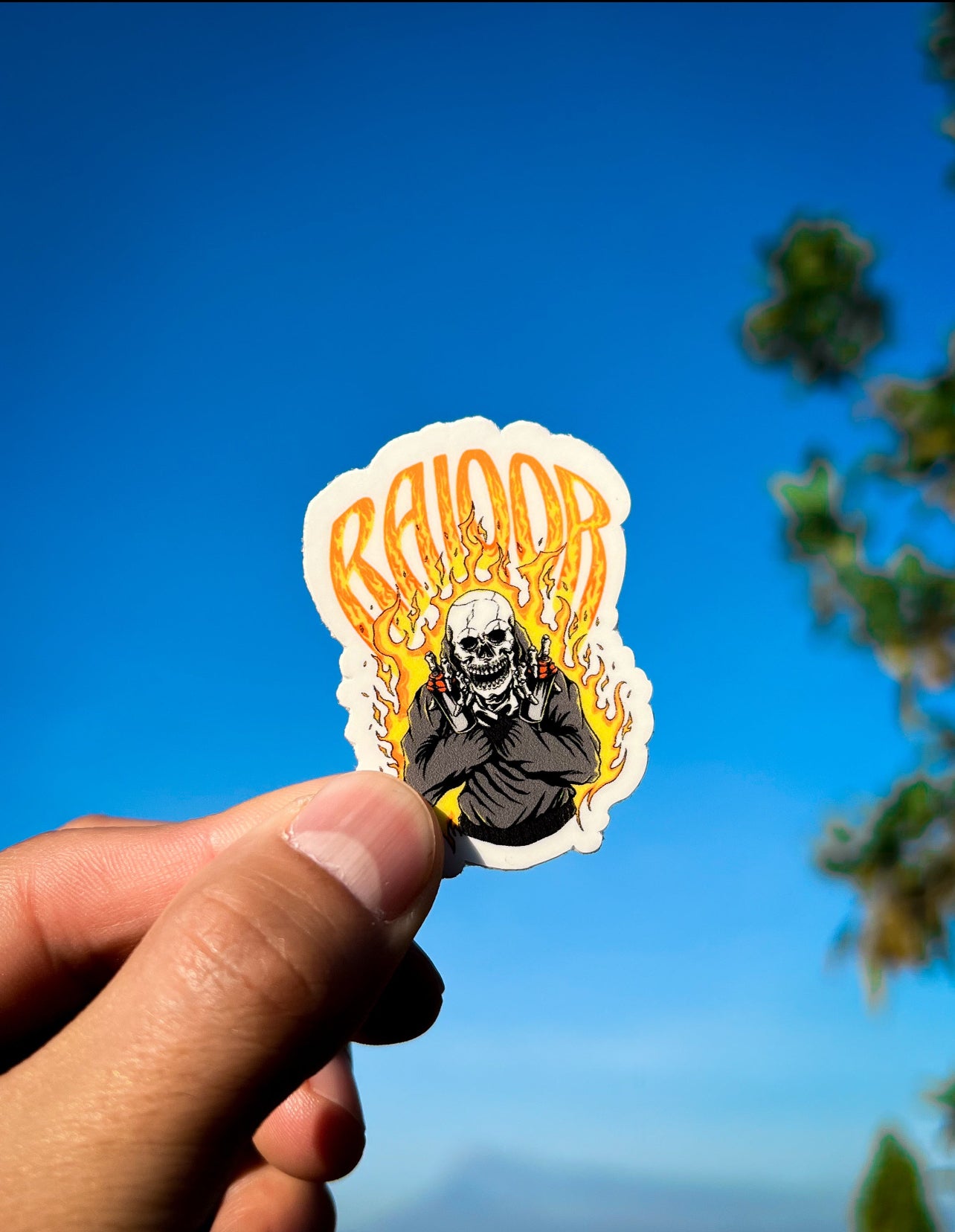 STICKERS RAIQOR V3