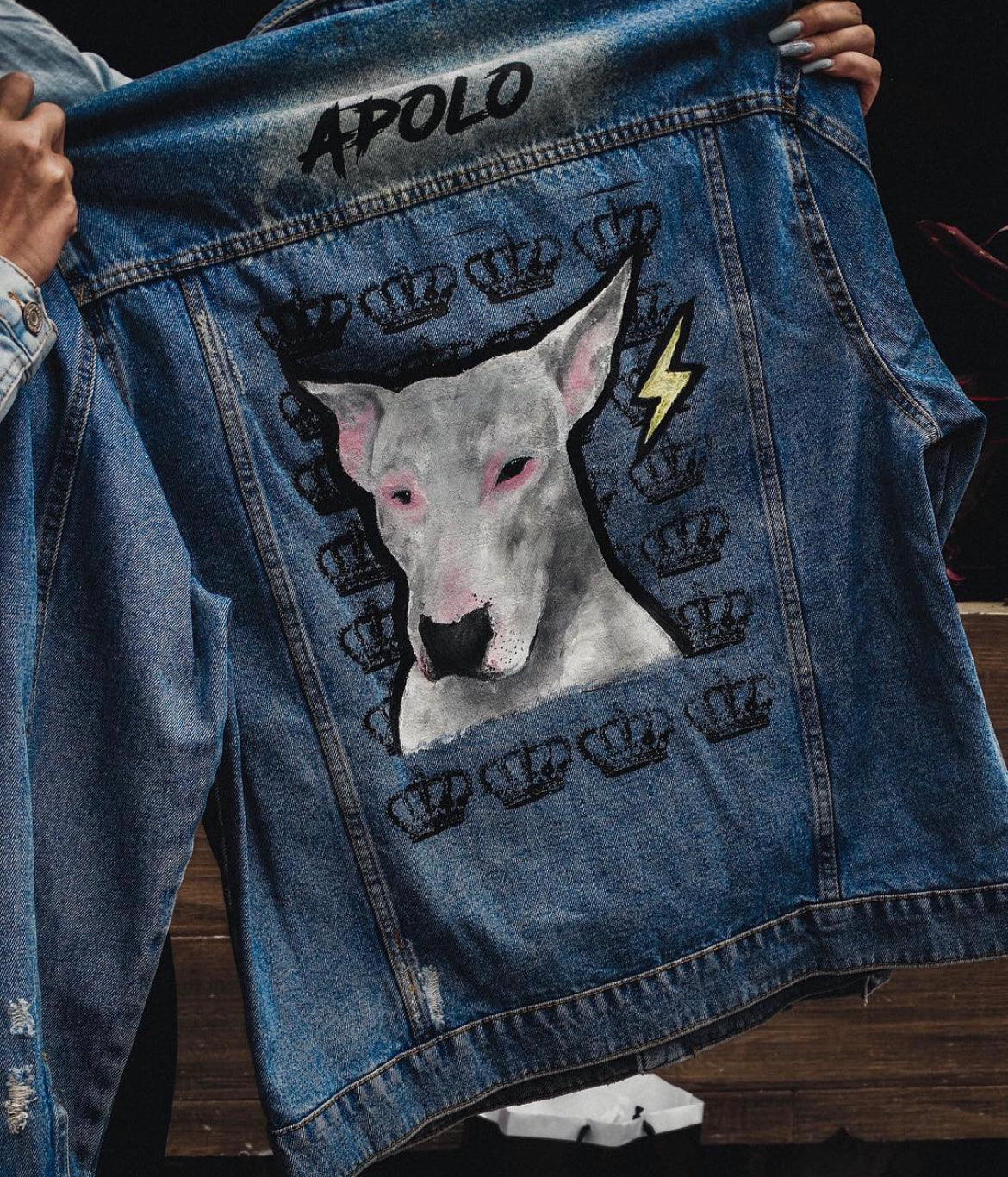 JACKET APOLO