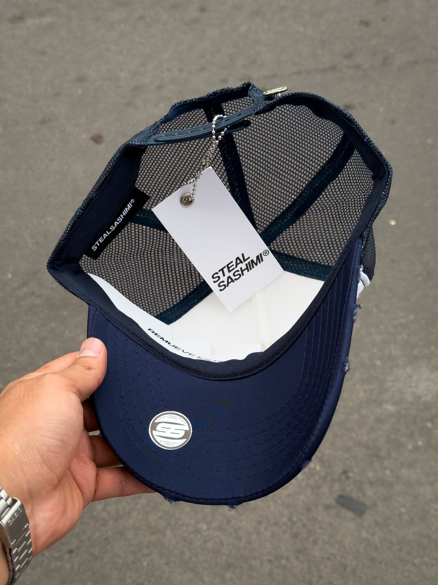 VISION STEAL SASHIMI