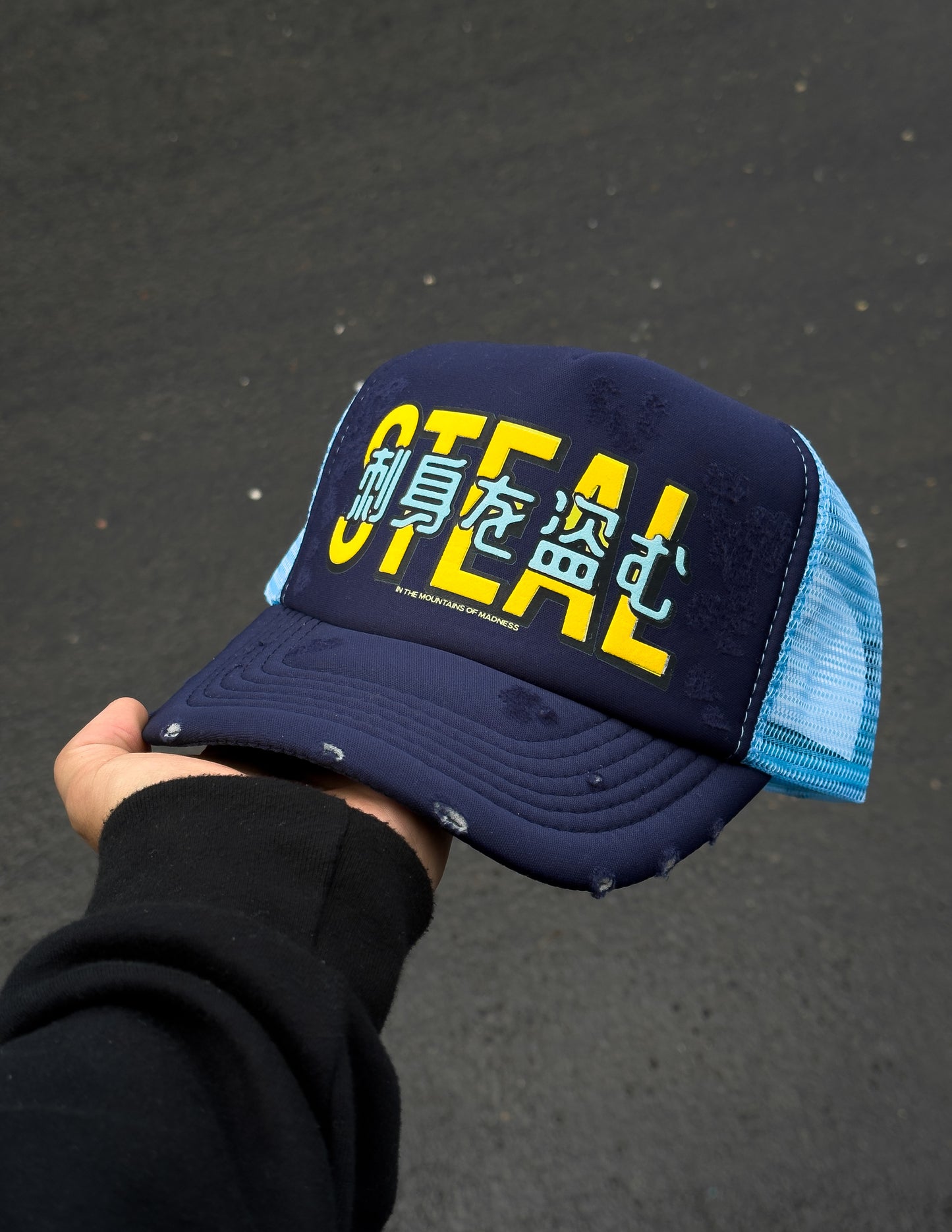 Madness Steal Sashimi